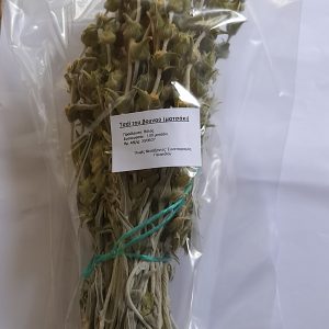 Τσάϊ του βουνού Βόλου (ένα ματσάκι)